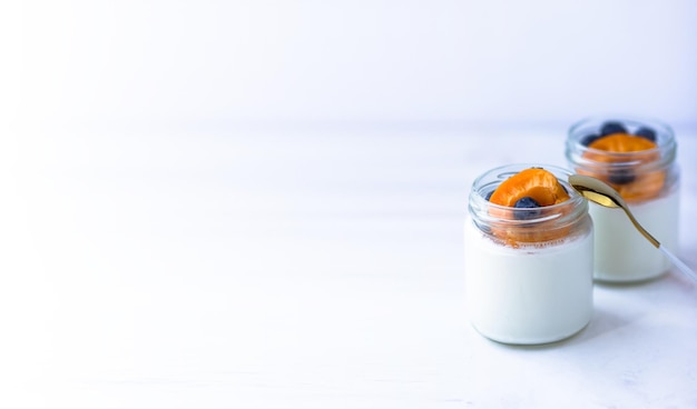 Homemade yogurt with apricot and blueberries Space for text Banner