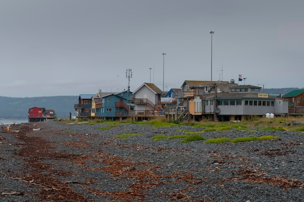 Homer Alaska View