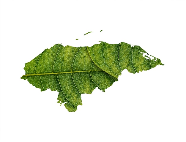 Honduras map made of green leaves on soil background ecology concept