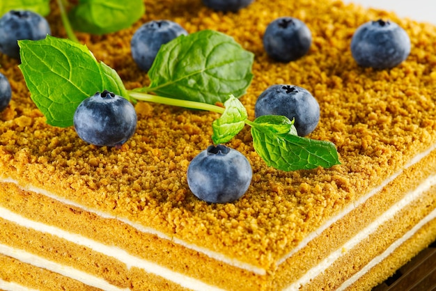 Honey cake with berries close up Honey cake with blueberries and mint