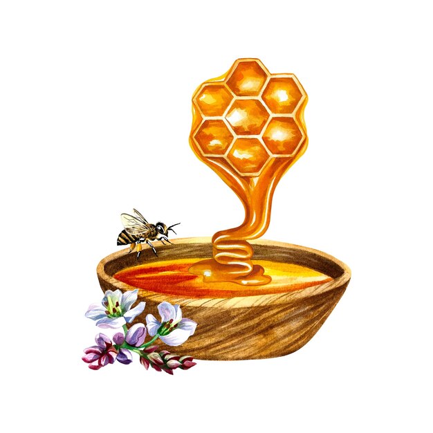 Honey composition with a wooden bowl honeycombs bees buckwheat flowers. Watercolor illustration.