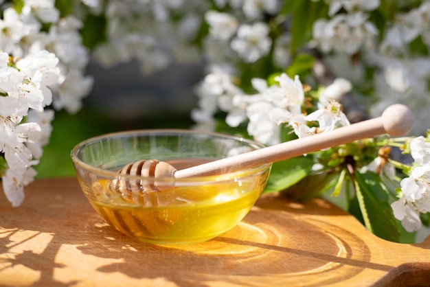 Honey in glass bowl with wooden honey spoon on background of flowering branches