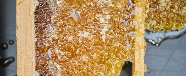 Honey natural and product liquid and gold with beekeeping farming and production process Agriculture bee farming and food texture sweet syrup zoom and honeycomb with wood frame and healthy