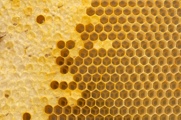 Honeycomb background