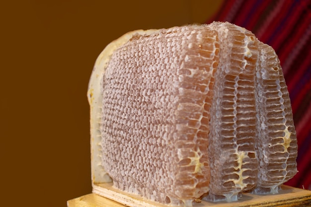 Honeycomb from beehive filled with honey