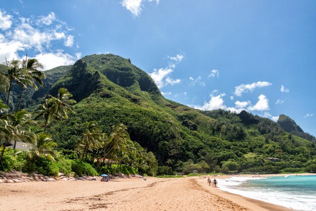 HONOLULU, USA - AUGUST, 14 2014 - People having fun at hawaii beach