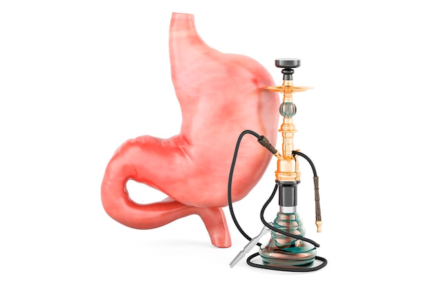 Hookah with stomach 3D rendering