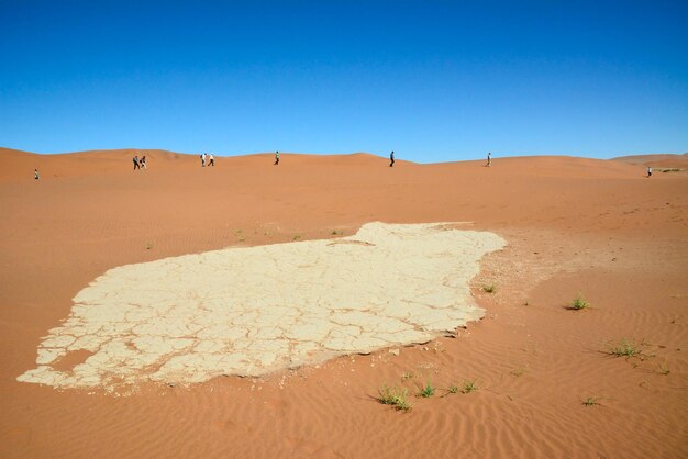 On the horizon a number of tourists walk across the desert one after the other