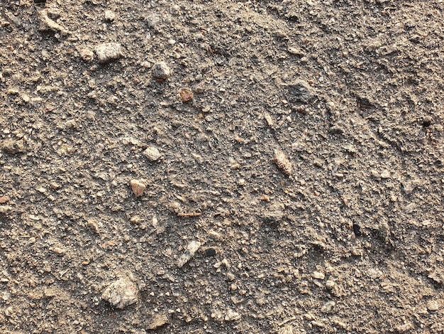 Horizontal asphalt background with stones