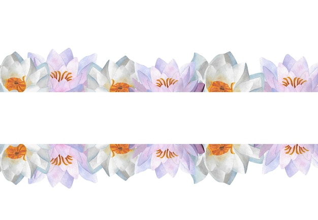 Horizontal banner with lilac waterlilies Watercolor floral for decoration certificate Women day 2024