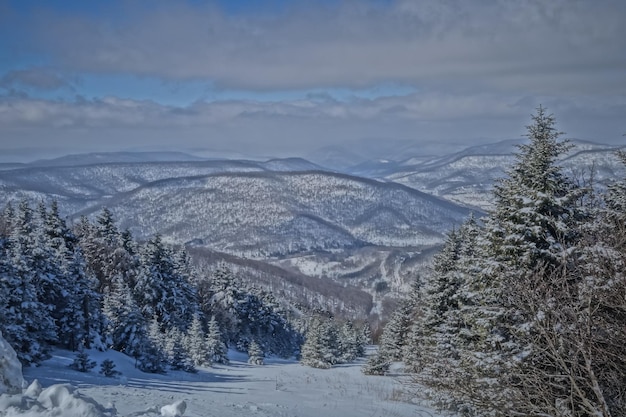 Horizontal shot of a snowscape