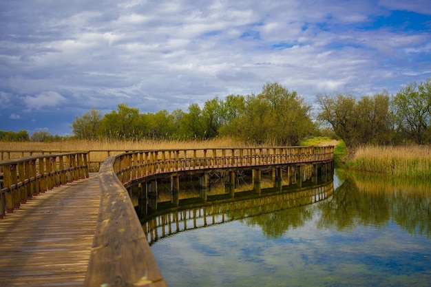 Horizontal shot of a wooden walkway on the river, Tablas de Daimiel National Park, Spain