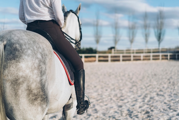 Horse back woman jockey portrait