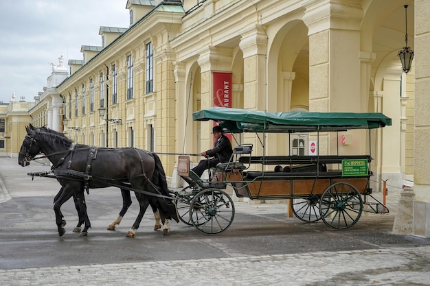 Horse and carriage at the Schonbrunn Palace in Vienna