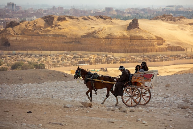 Horse carriage with people near the Egyptian pyramids  Giza  Cairo  Egypt