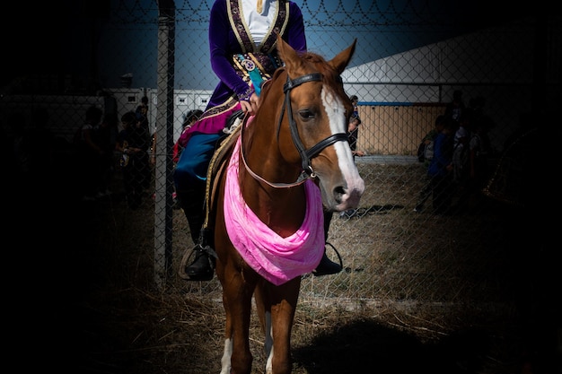 Horse head with long mane and partial harness