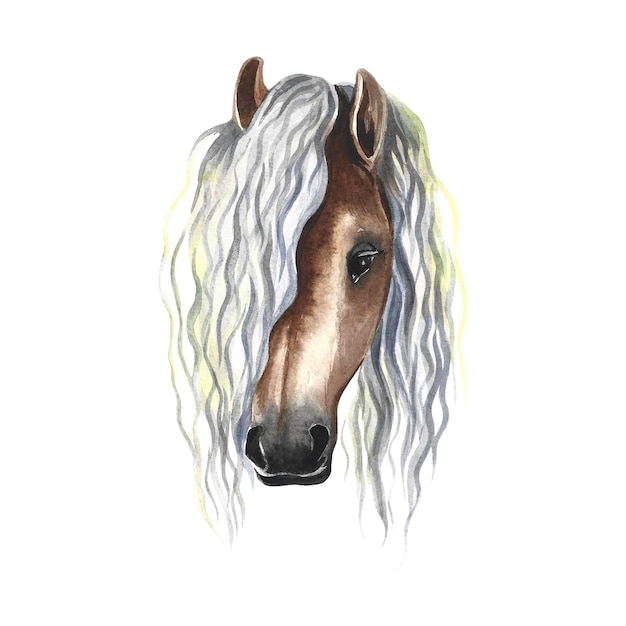 Horse portrait. Watercolor illustration.