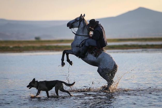 Horse Rearing in Water Kayseri Turkey