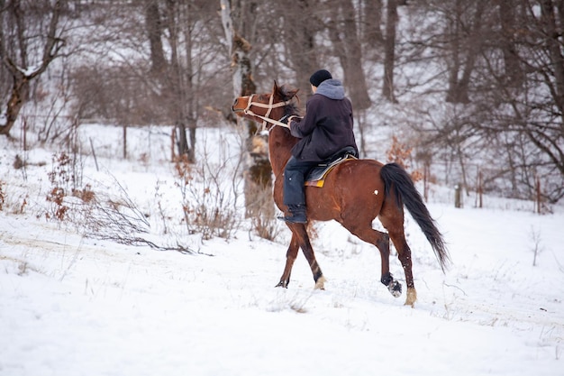 Horse rider gallops on a snowy mountain in Bakuriani