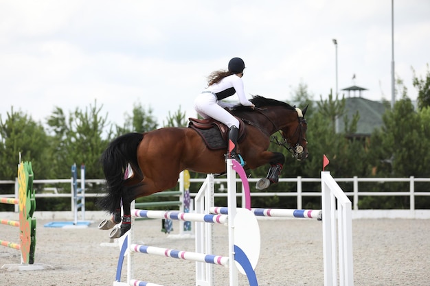 horse and rider on a horse in show jumping competition