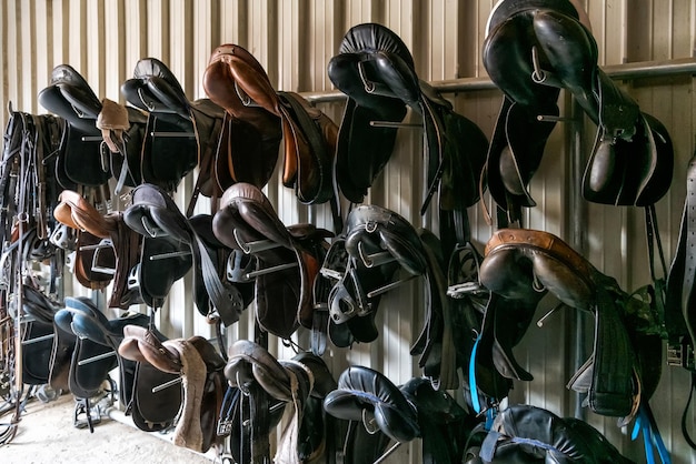 Horse saddles hanging on wall