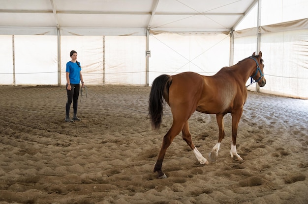 Horse walking near woman in arena