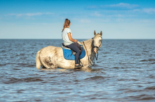 A horse in the water with a woman riding it