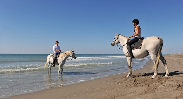 Horseback riding in holidays