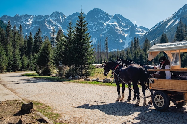 Horsedrawn carriage on a road in the mountains