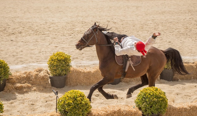 Horseman riding in their ethnic clothes on horse