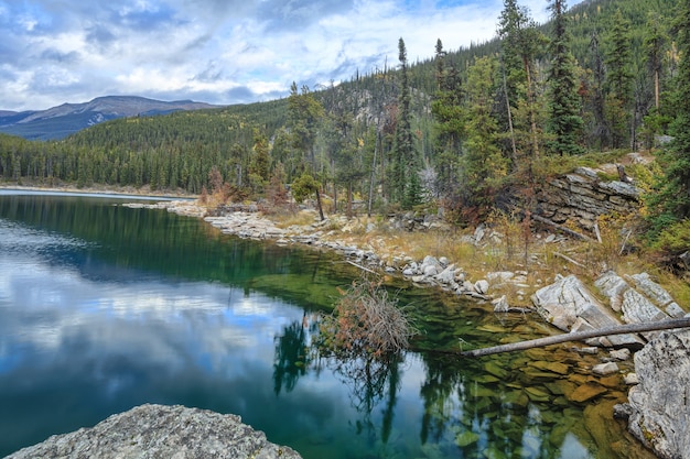 Horseshoe Lake Jasper National Park Alberta Canada