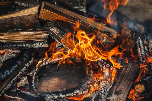 Hot bonfire with burning logs close up