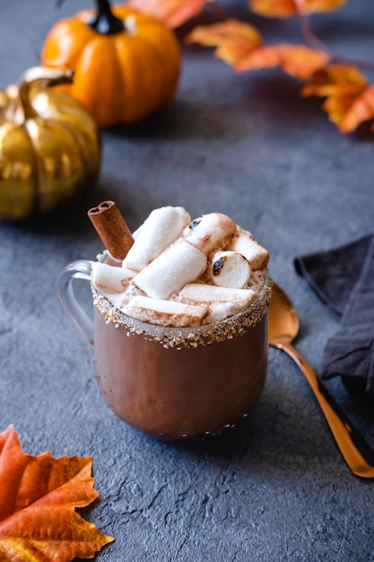 Hot chocolate with marshmallows. The concept of cosy holidays and New Year. Winter time and autumn time. Holiday concept.