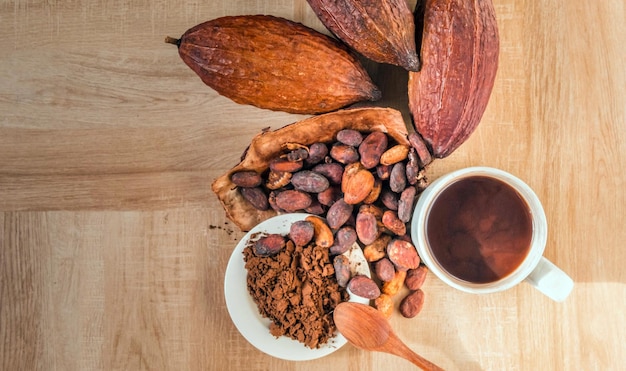 Hot cocoa cup with cocoa powder and cocoa beans on wooden backgroundTop view