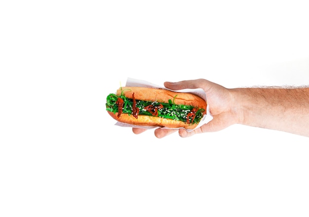 Hot dog in hand isolated on a white background. Fast food isolated. High quality photo