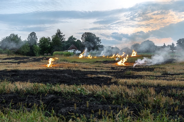 On a hot summer day, dry grass is burning on the field. Burning field with dry grass.