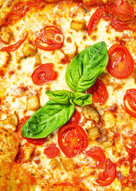 Hot tasty traditional pizza with chicken and tomato