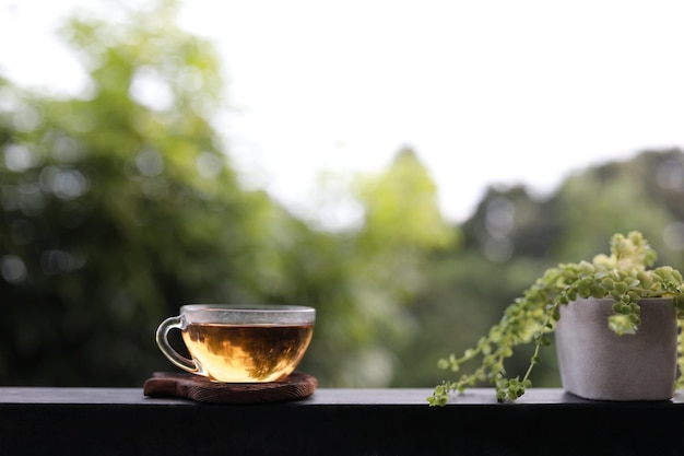 Hot tea cup and Phyllodium pulchellum plant pot