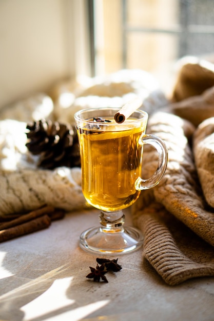 Hot winter drink with cinnamon and lemon on bright sunny day