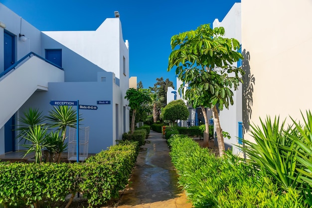 The hotel area is decorated with greenery