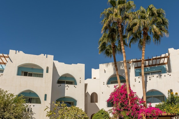 Hotel with white buildings and a recreation area in Egypt