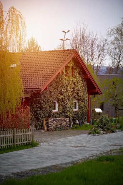 House covered with ivy Ivycovered private house in Europe Alpine flora The vibe of the alpine vi