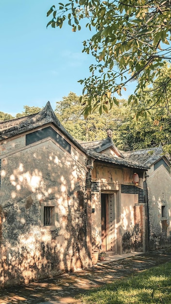 A house in a forest with a tree in the background