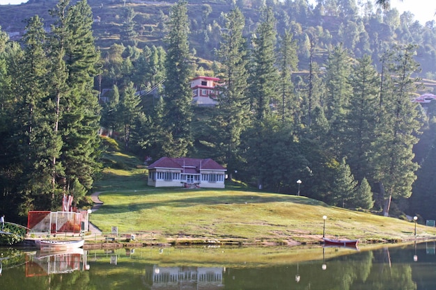 House in the  Forest