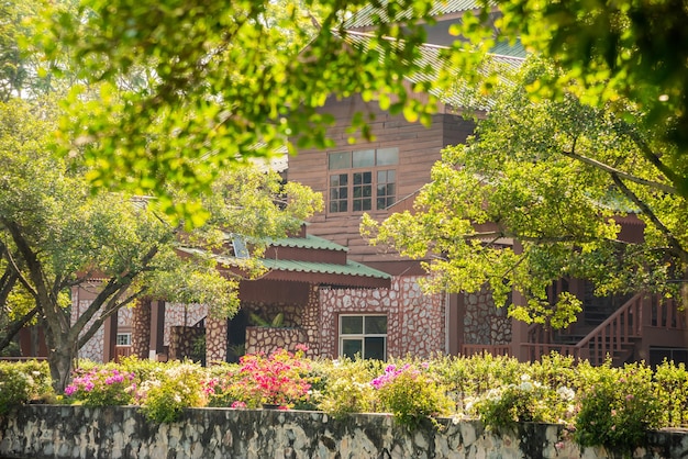 House in the garden surrounded by green trees