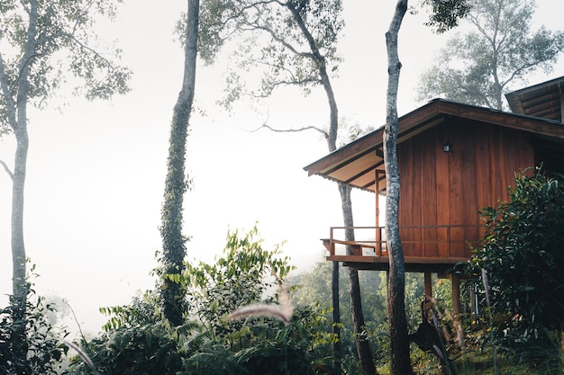 House on the hill in the foggy morning,wooden house