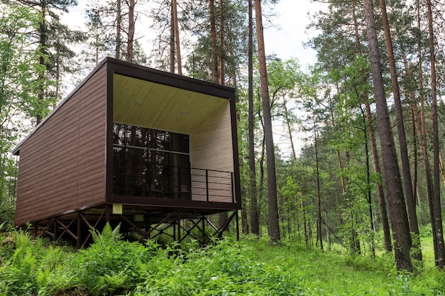 House or hotel with panoramic windows in pine forest beautiful summer morning with light sun nature