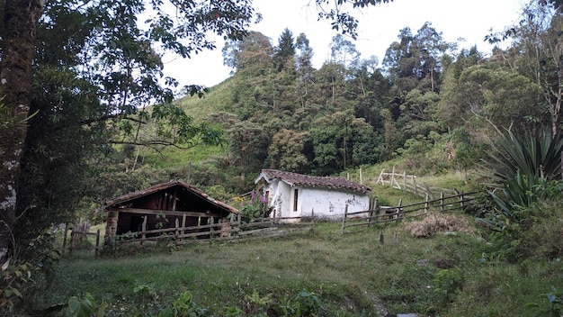 house in the mountains