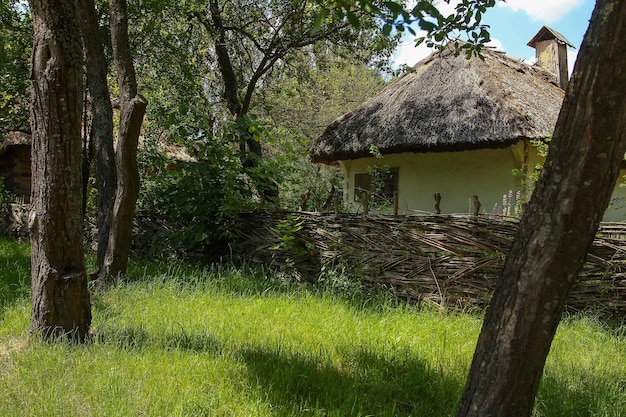 A house a mud house a wicker fence a tree a Ukrainian village