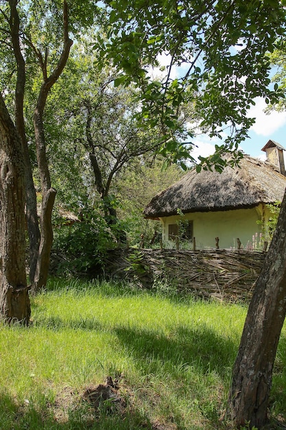 A house a mud house a wicker fence a tree a Ukrainian village